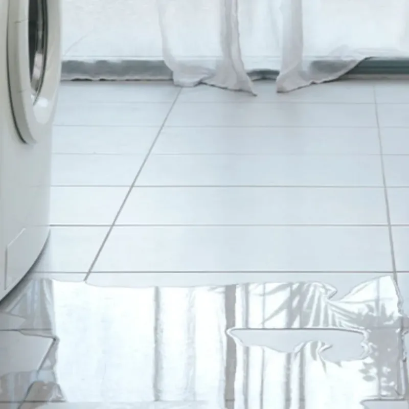 Appliance Leak Cleanup in Douglas County, WA